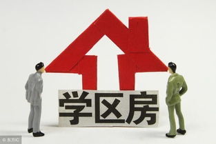 最新泰安市小區(qū)學(xué)區(qū)劃分明細(xì)表，速來轉(zhuǎn)發(fā)收藏！